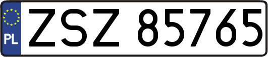 ZSZ85765