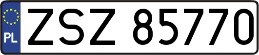 ZSZ85770