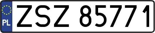 ZSZ85771
