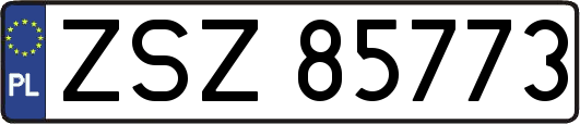 ZSZ85773