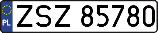 ZSZ85780