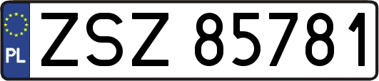 ZSZ85781