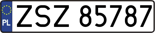 ZSZ85787