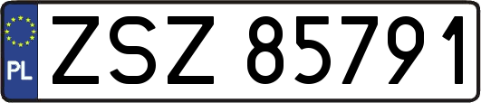 ZSZ85791