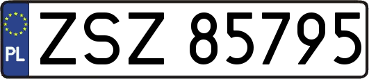 ZSZ85795