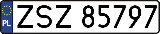 ZSZ85797