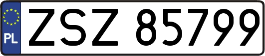 ZSZ85799