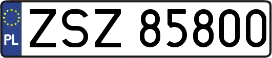ZSZ85800