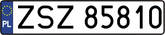 ZSZ85810