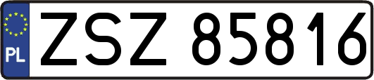 ZSZ85816