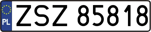ZSZ85818