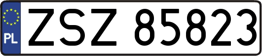 ZSZ85823
