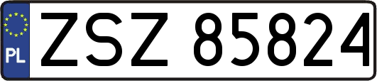 ZSZ85824