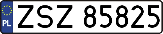 ZSZ85825