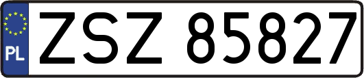 ZSZ85827