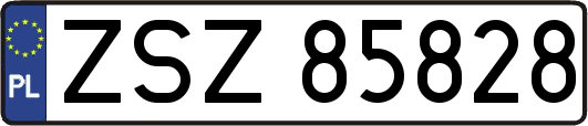 ZSZ85828