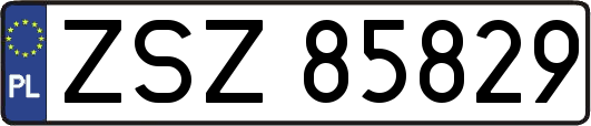 ZSZ85829