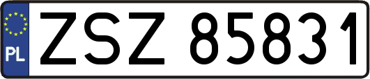 ZSZ85831