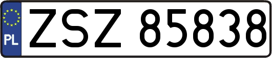 ZSZ85838