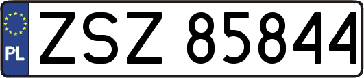 ZSZ85844