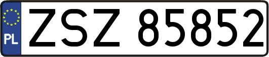 ZSZ85852