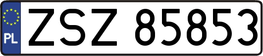 ZSZ85853