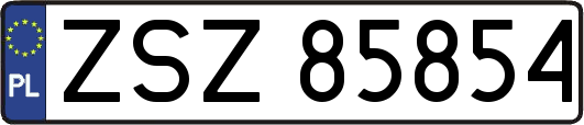 ZSZ85854