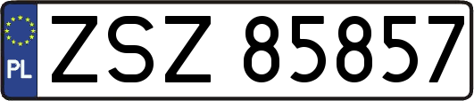 ZSZ85857