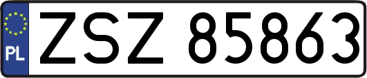 ZSZ85863