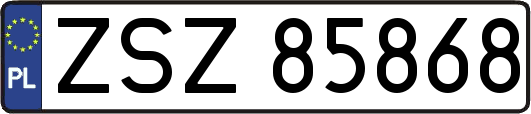 ZSZ85868