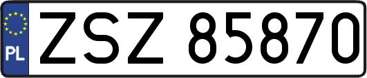 ZSZ85870
