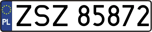ZSZ85872