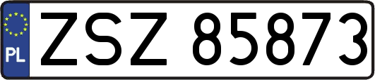 ZSZ85873