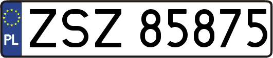 ZSZ85875
