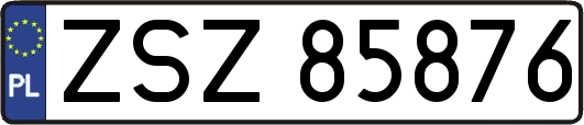 ZSZ85876
