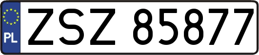 ZSZ85877