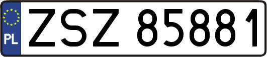 ZSZ85881