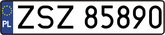 ZSZ85890