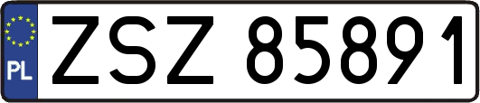 ZSZ85891