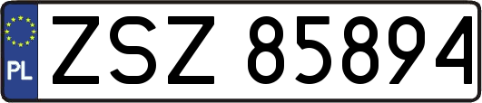 ZSZ85894