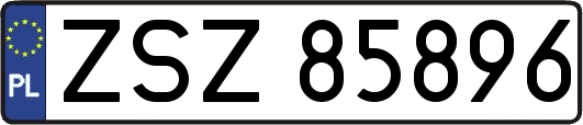 ZSZ85896