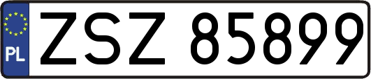ZSZ85899