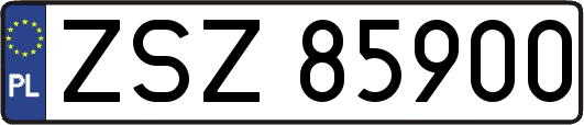 ZSZ85900