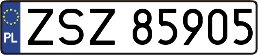 ZSZ85905