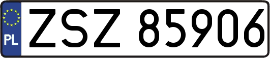 ZSZ85906