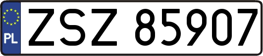ZSZ85907