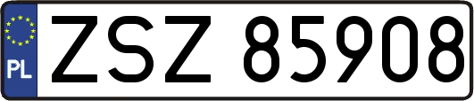 ZSZ85908