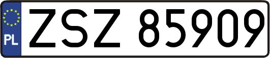 ZSZ85909