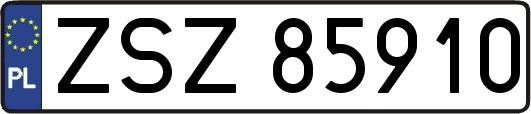 ZSZ85910