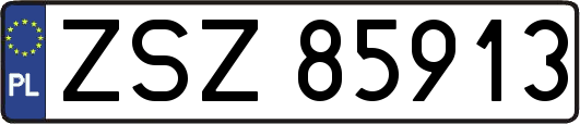 ZSZ85913